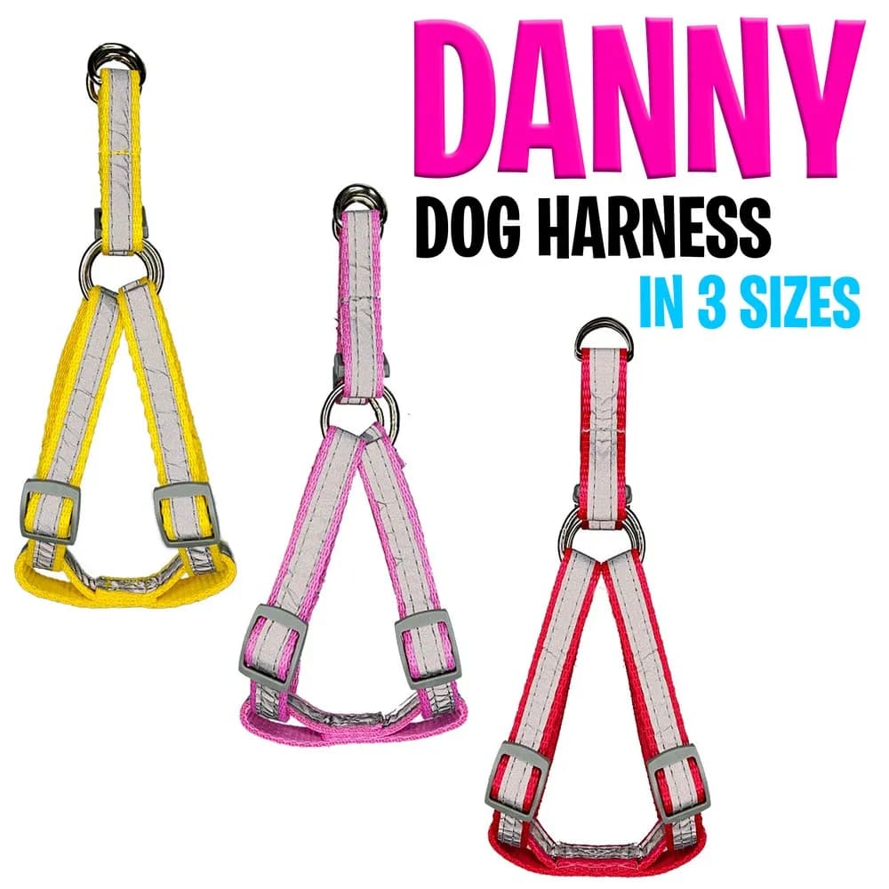 قلاده کتفی شبرنگ‌دار سگ مدل Danny سایز L