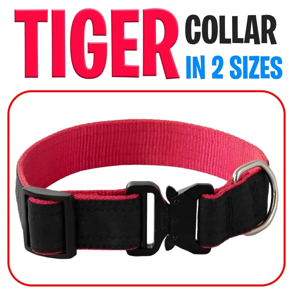 قلاده گردنی سگ مدل Tiger بدون لید سایز XL — تصویر ۳