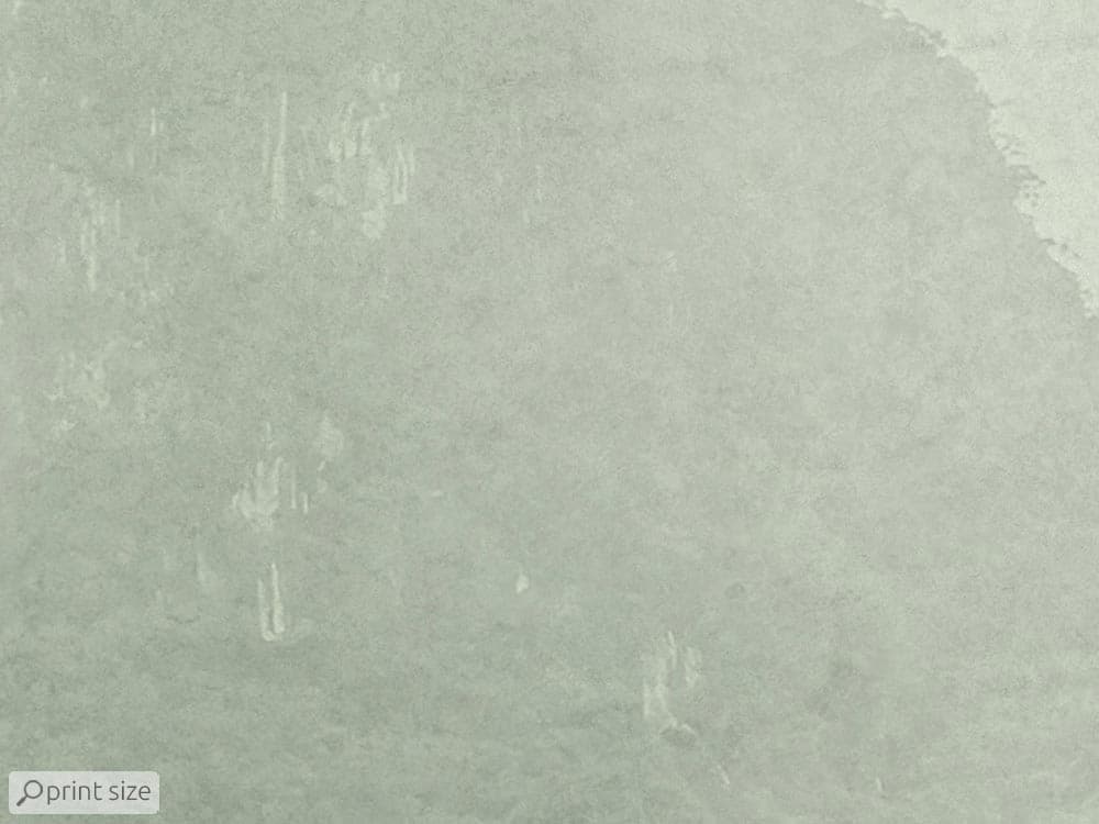 پوستر دیواری طبیعت و درخت M10172600 — تصویر ۵