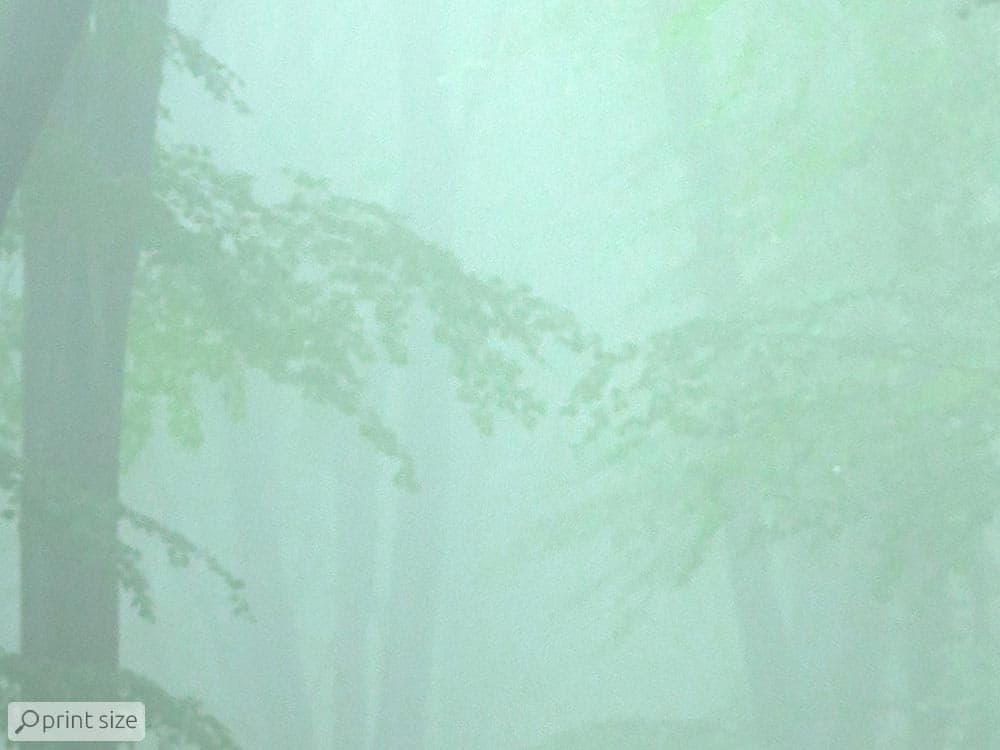 پوستر دیواری طبیعت و منظره M10033700 — تصویر ۸