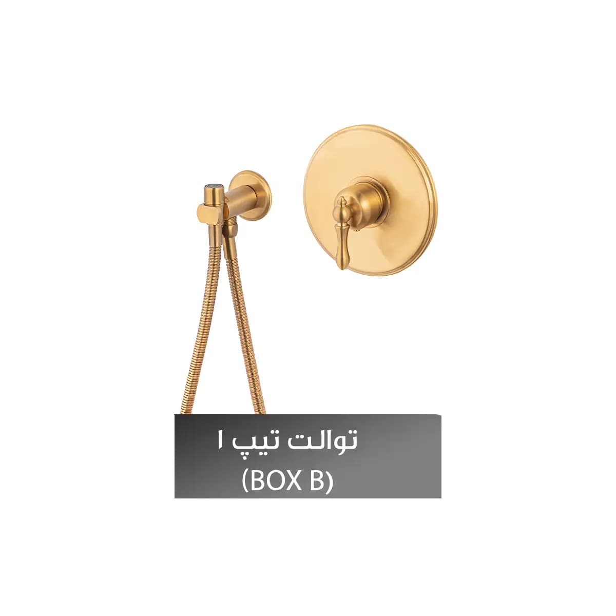 شیر توالت توکار شیذر مدل آترینا تیپ ۱ — تصویر ۶