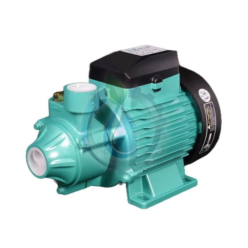 پمپ آب یک اسب محیطی تایفو مدل QB80E — تصویر ۸