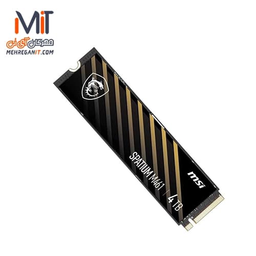 اس اس دی ام اس آی MSI Spatium M461 M.2 4TB