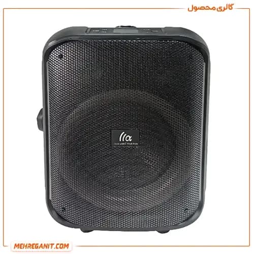 اسپیکر قابل حمل تازاتا مدل PARTY FS-L1210 — تصویر ۳
