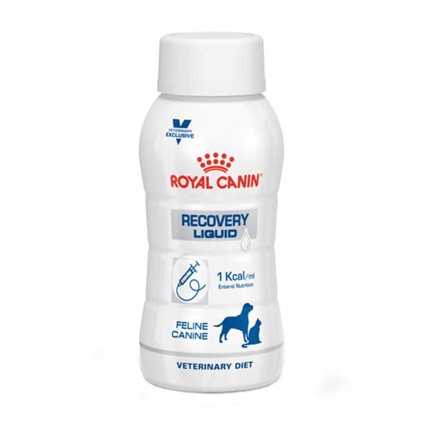 لیکویید ریکاوری سگ و گربه رویال کنین Recovery liquid