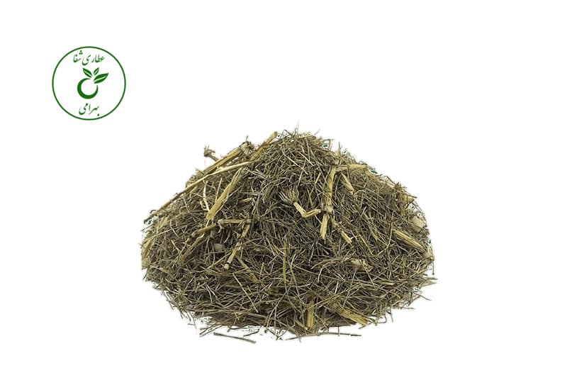 گیاه دم اسب 50 گرمی