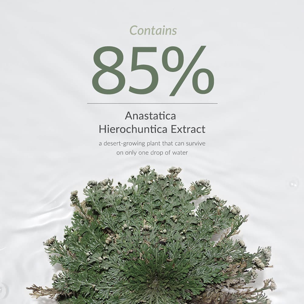 تونر آبرسان عمقی دکتر التیا Dr. Althea 85% Anastatica Skin Conditioning Toner — تصویر ۸
