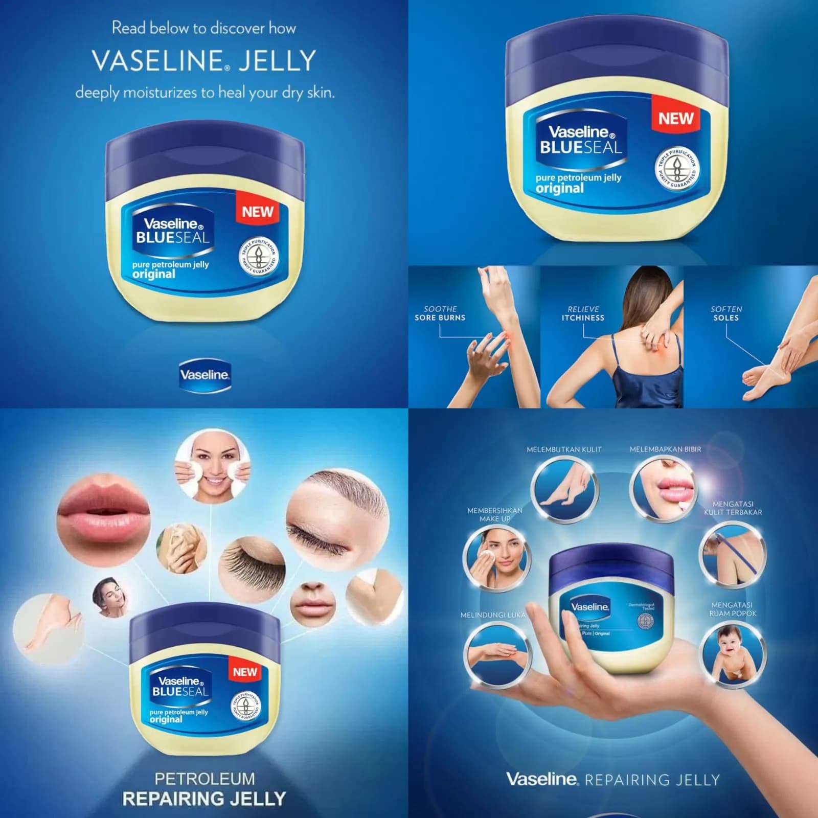 7مدل کرم ژله‌ای سری Blue Seal (اورجینال) — تصویر ۴