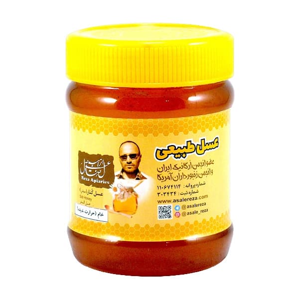 خرید عسل کنار خام رضا 470 گرم — تصویر ۵