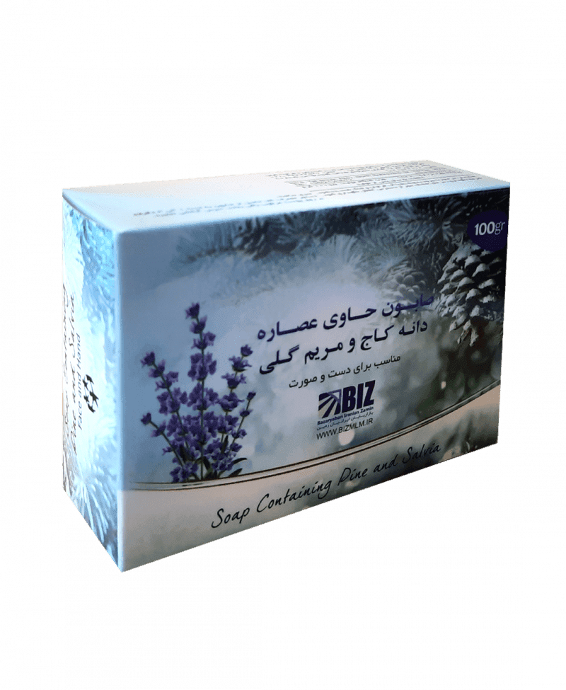 صابون دانه کاج و مریم گلی دکتر بیز Dr.Biz ( 3 عدد)