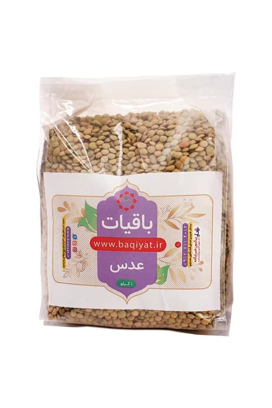 عدس