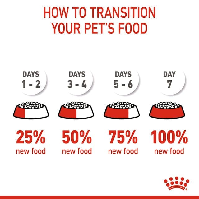 غذای درمانی گربه رویال کنین دل رنال سلکت ROYAL CANIN RENAL SELECT 2KG (مخدوش) — تصویر ۵