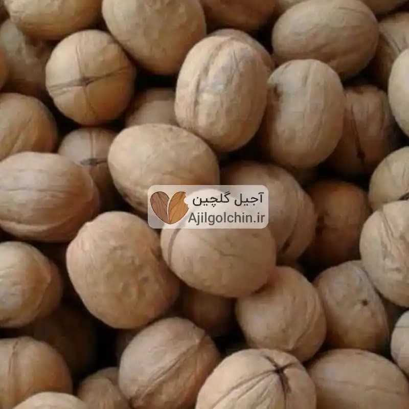 گردو پوست کاغذی درجه یک — تصویر ۲