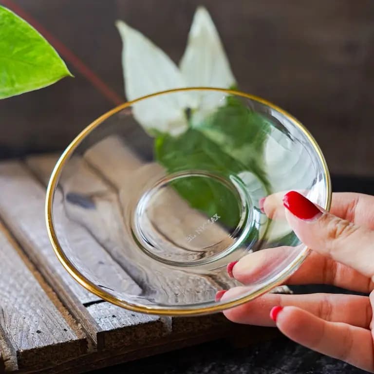نعلبکی لب طلایی بلینک مکس بسته 6 عددی — تصویر ۹