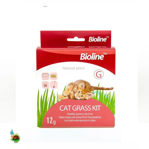 کیت علف گربه بایولاین Bioline cat grass kit وزن ۱۲ گرم