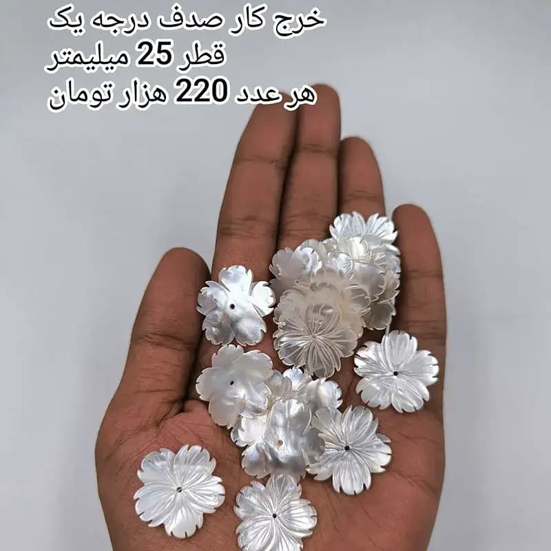 خرج کار صدف درجه یک کد 1873 — تصویر ۲