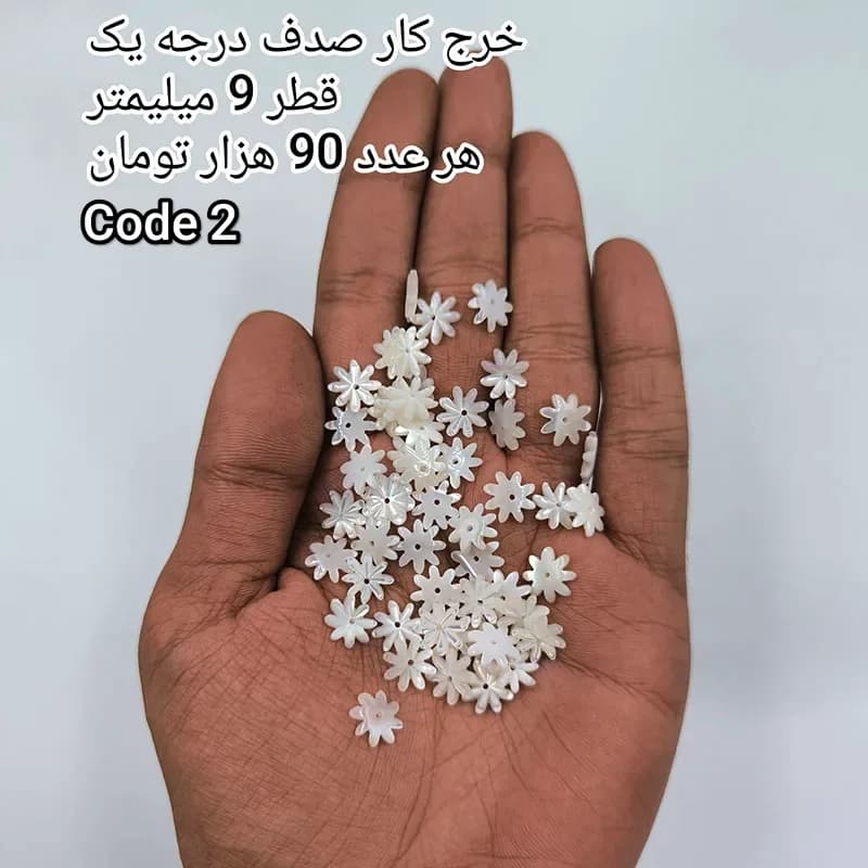 خرج کار صدف درجه یک کد 1873 — تصویر ۳