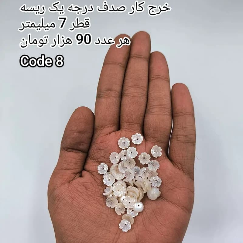 خرج کار صدف درجه یک کد 1873 — تصویر ۶