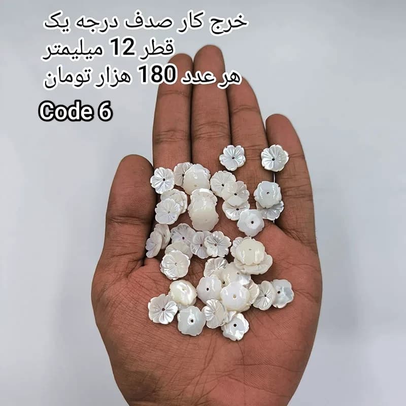 خرج کار صدف درجه یک کد 1873 — تصویر ۷