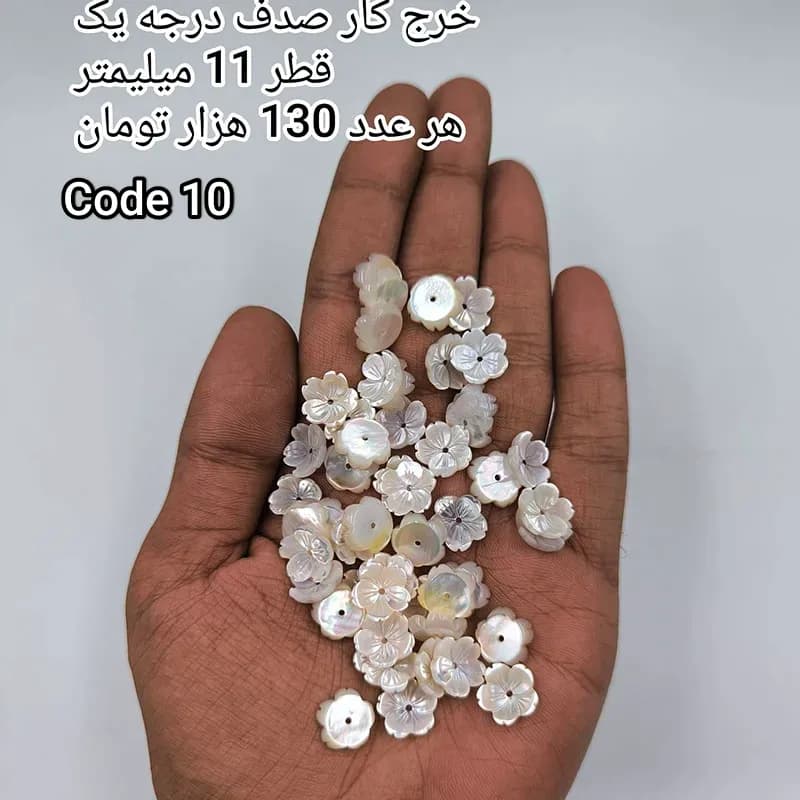 خرج کار صدف درجه یک کد 1873 — تصویر ۸