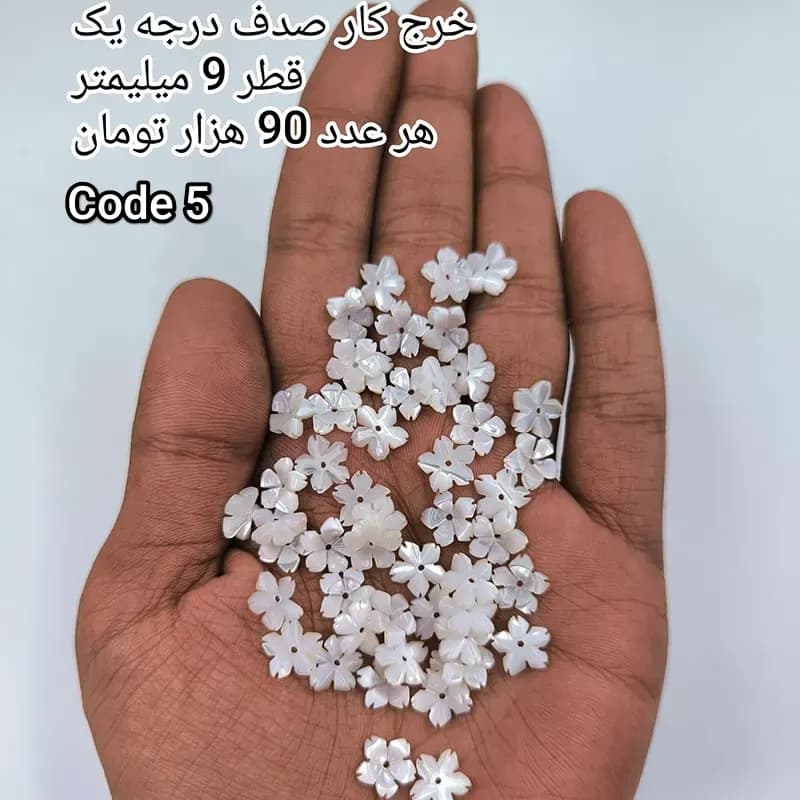 خرج کار صدف درجه یک کد 1873 — تصویر ۹
