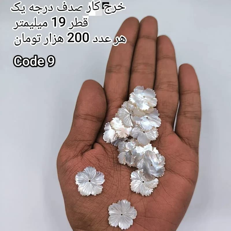 خرج کار صدف درجه یک کد 1873 — تصویر ۱۲