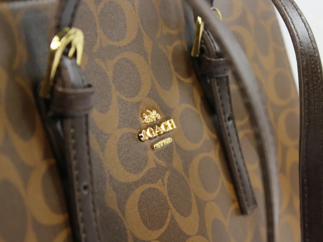 کیف زنانه ملورین کوچ, گوچی | Coach Gucci — تصویر ۳