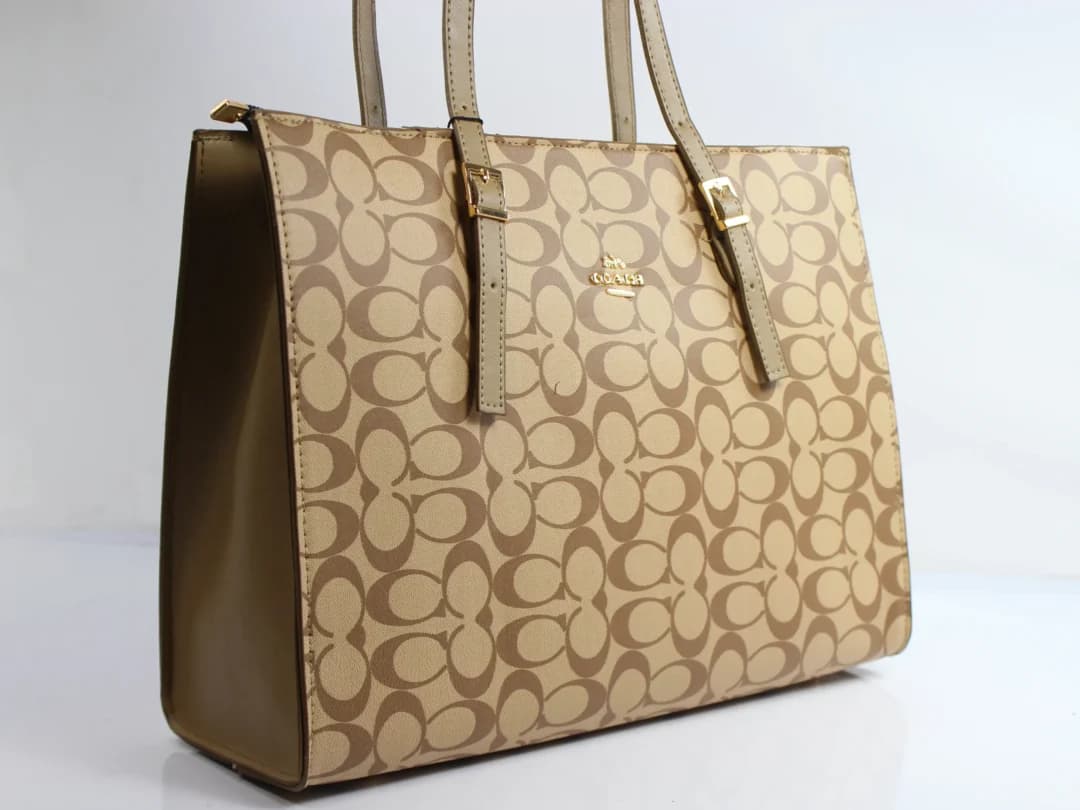 کیف زنانه ملورین کوچ, گوچی | Coach Gucci — تصویر ۱۲
