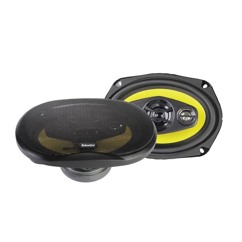 بلندگوی ساووی مدل SV-6980 — تصویر ۶