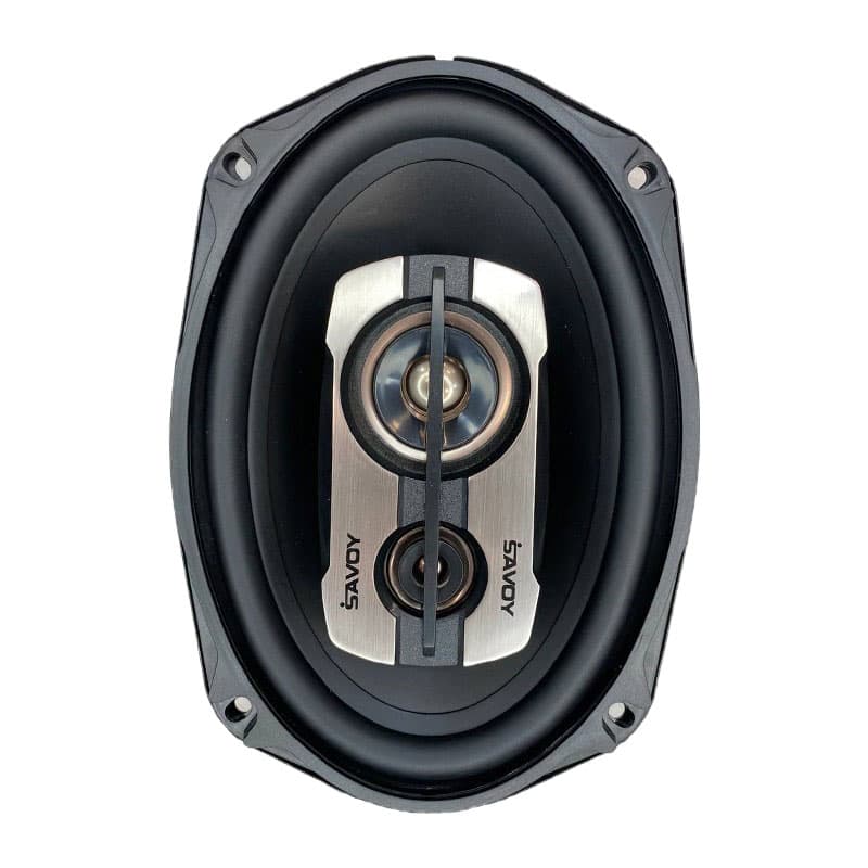 بلندگوی ساوی مدل SV-6975 V3 — تصویر ۱۱