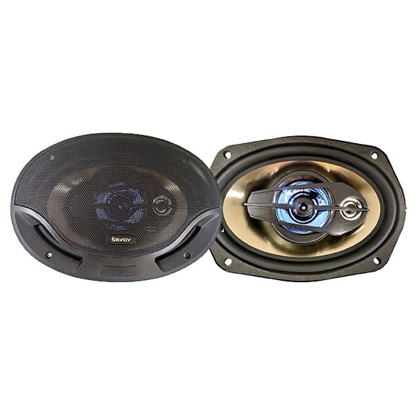 بلندگوی ساووی مدل SV-6910