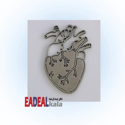 اکسسوری آناتومی قلب