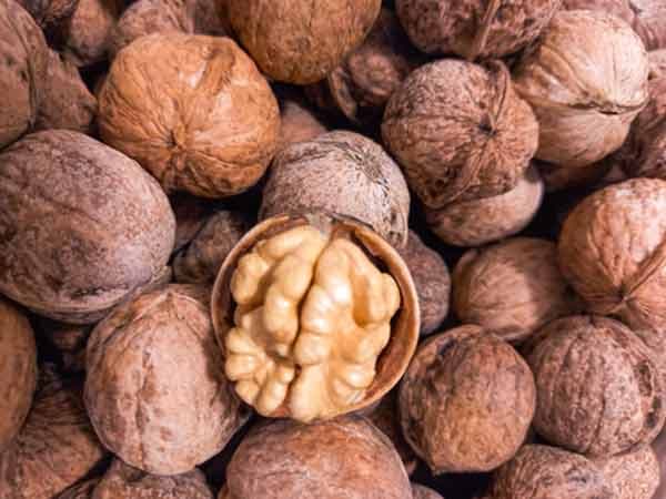 گردو پوست کاغذی تازه کرمان — تصویر ۳