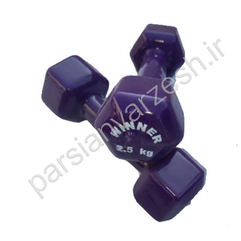 دمبل ایروبیک 2.5 کیلوگرم
