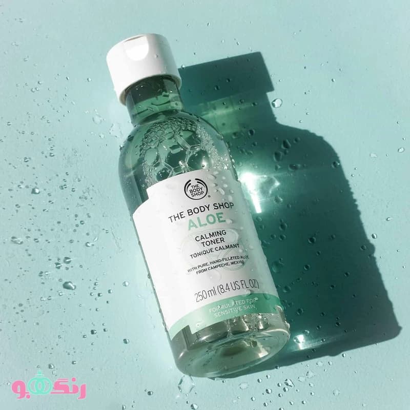 تونر پاک کننده و آبرسان آلوئه ورا بادی شاپ Body Shop حجم 250 میلی لیتر — تصویر ۱۲