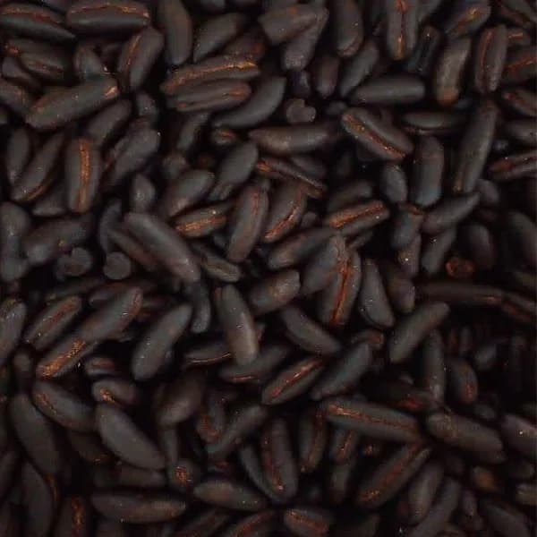 هسته خرما تفت داده شده (5 کیلو – عمده ) — تصویر ۳