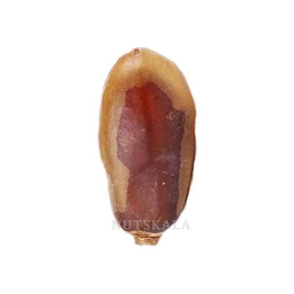 خرما شاهانی ناتس کالا (2500 گرم ) — تصویر ۲