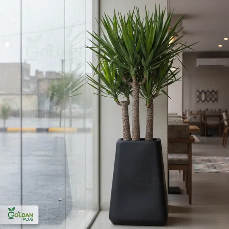 فلاور باکس فایبرگلاس بلند مدل کیوب — تصویر ۱۱