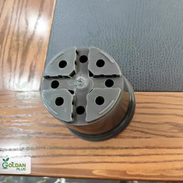 گلدان گلخانه ای سایز 12 بهار نارنج — تصویر ۴