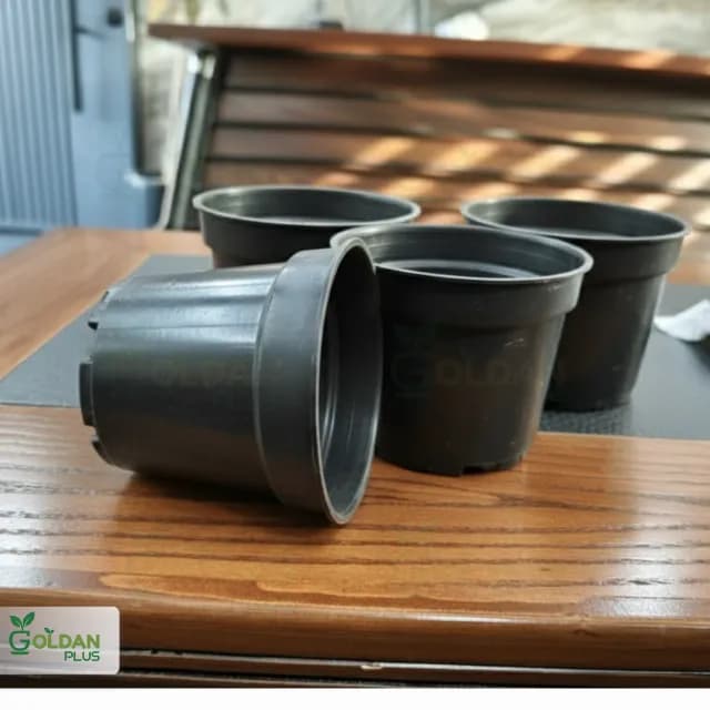 گلدان گلخانه ای سایز 12 بهار نارنج — تصویر ۵