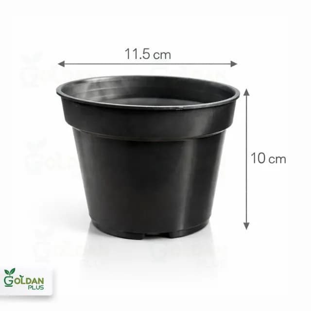 گلدان گلخانه ای سایز 12 بهار نارنج — تصویر ۷