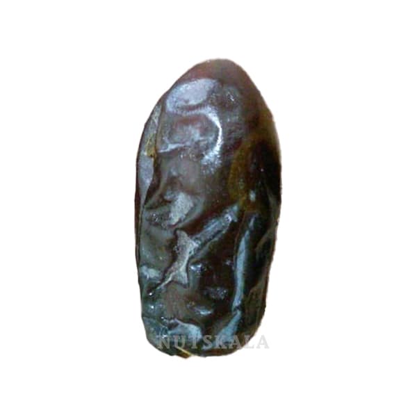 خرما سایر ناتس کالا ( 2500 گرم)
