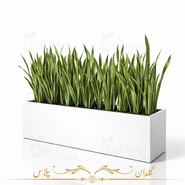 فلاور باکس فایبرگلاس مستطیلی 120سانتی