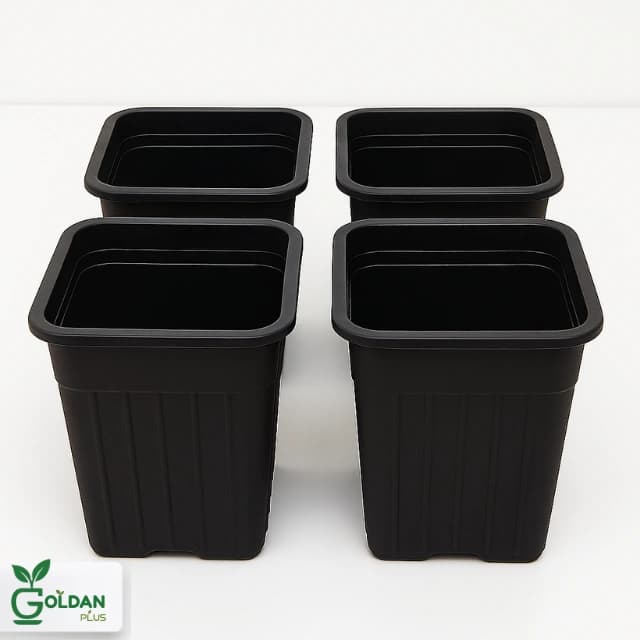 گلدان گلخانه ای مشکی مربعی 20*25 — تصویر ۳