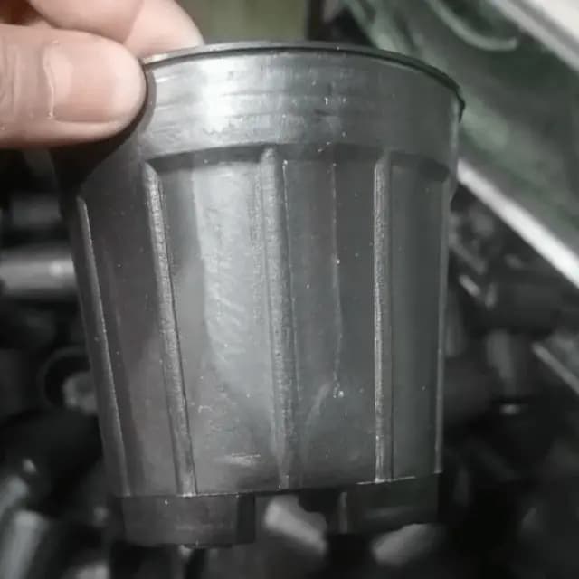 گلدان پلاستیکی نشایی سایز 12 گلخانه ای — تصویر ۵