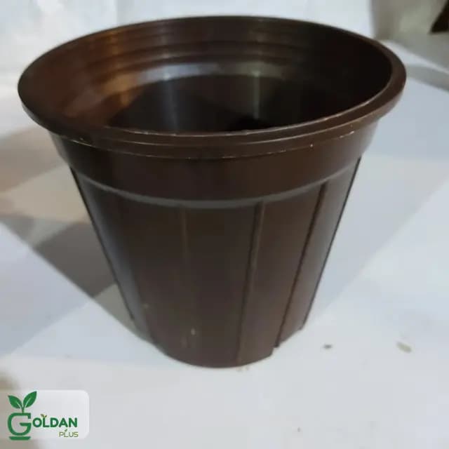 گلدان پلاستیکی گلخانه ای سطل 3/5 — تصویر ۵