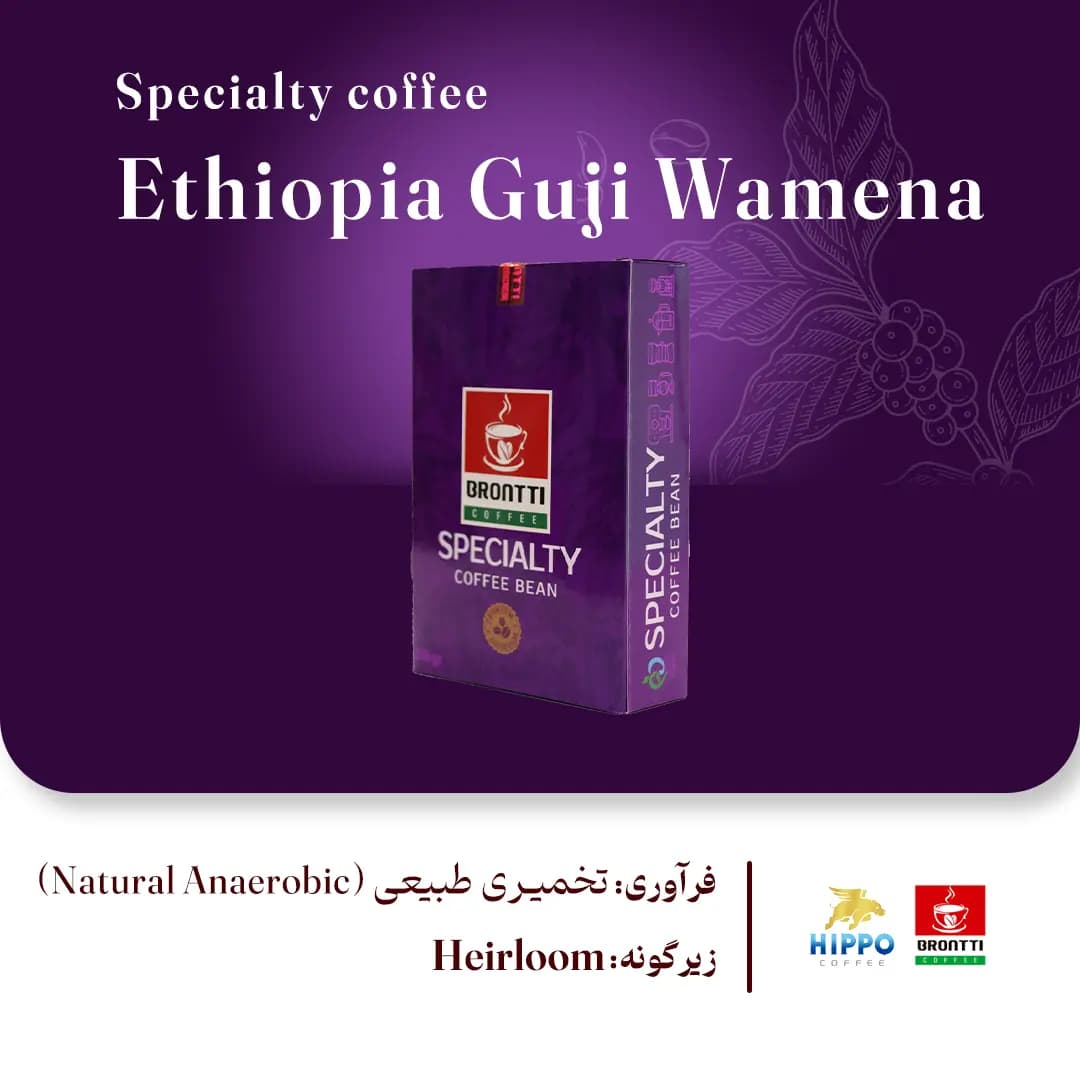 خرید قهوه اتیوپی گوجی وامنا اسپشیالیتی (Ethiopia Guji Wamena) [تازه رست شده] — تصویر ۴