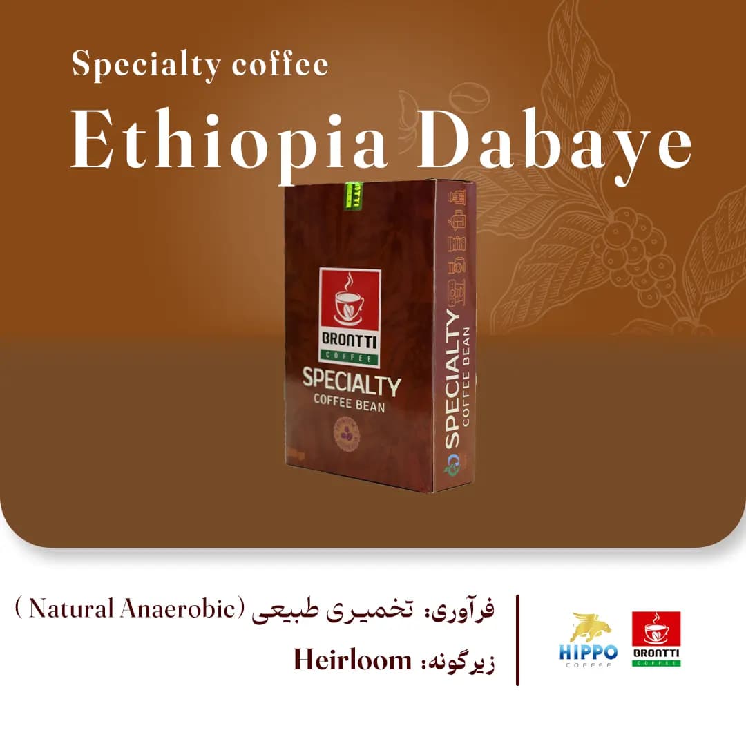 خرید قهوه اتیوپی دابایه اسپشیالیتی (Ethiopia Dabaye ) [تازه رست شده] — تصویر ۵