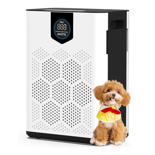 تصفیه کننده هوا Dayette AP303