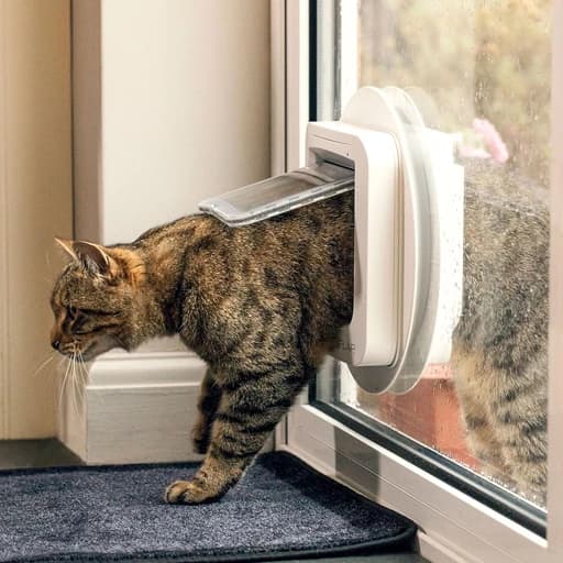 در هوشمند گربه‌ای میکروچیپ SureFlap — تصویر ۳